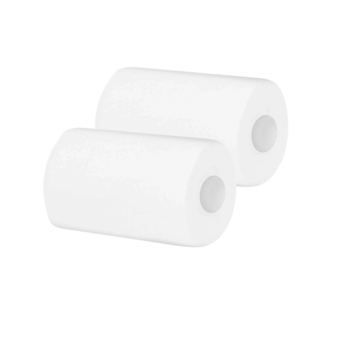 103957 Wunderbürste Dynamic Doppelpack, Poolroboter Dolphin (9995560)