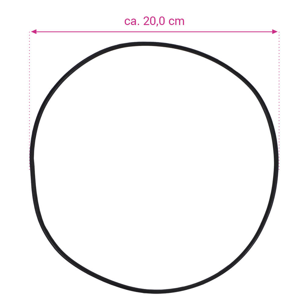 Ersatzteil O-Ring für Deckel für Filterkessel Europa
