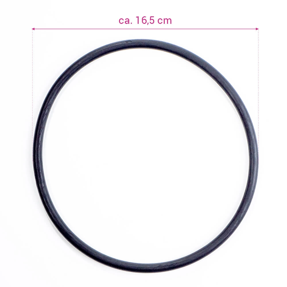 Vorfilterdeckel inkl O-Ring für Astral Victoria