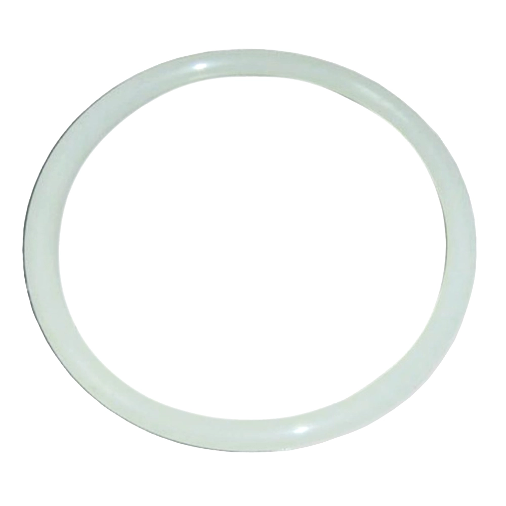 O-Ring zu Deckel für Filterkessel Europa