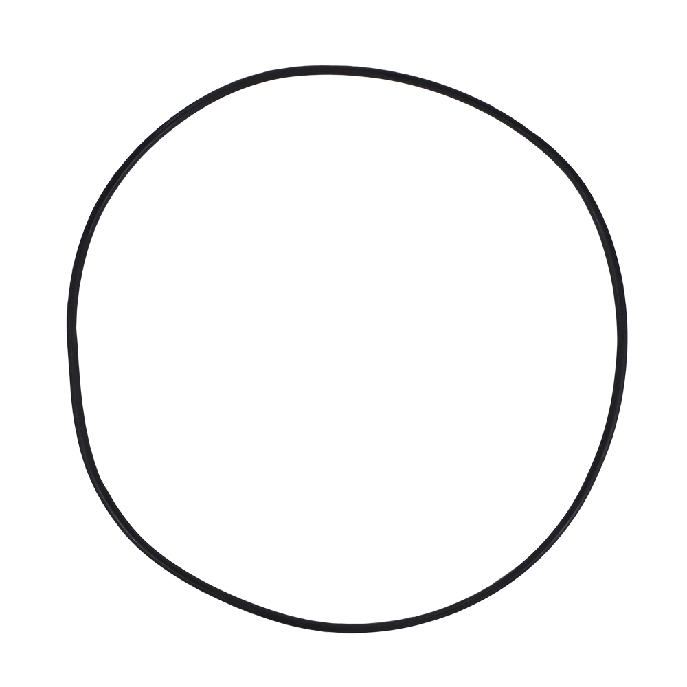 Ersatzteil O-Ring für Deckel für Filterkessel Europa