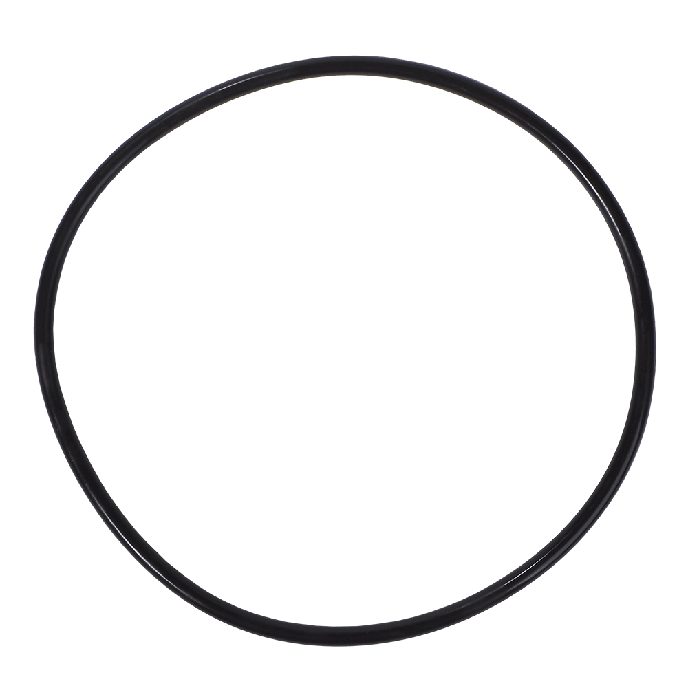 O-Ring für Deckel für Filterkessel Cantabric