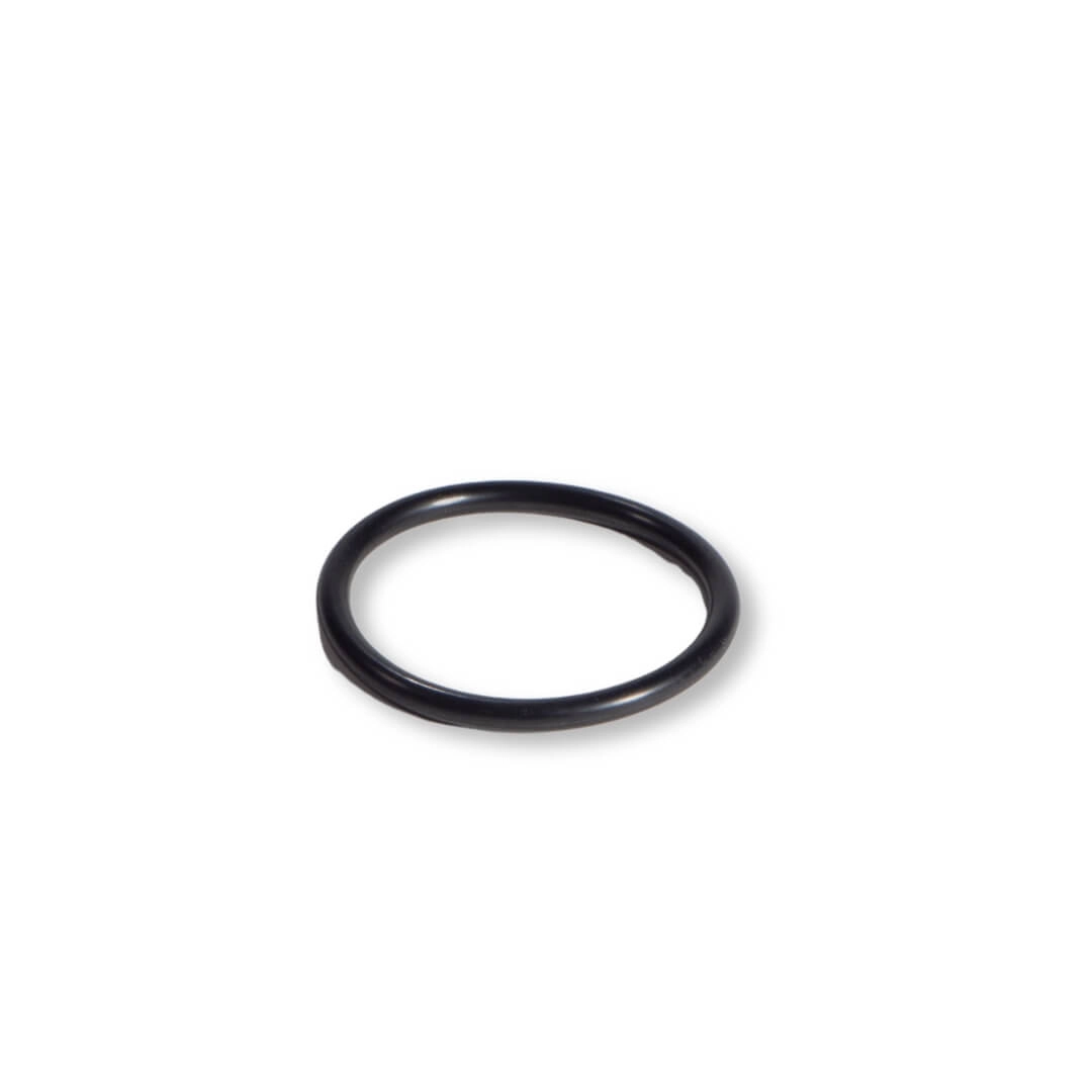 O-Ring für Außenverschraubung zu Filterkessel Pavo II