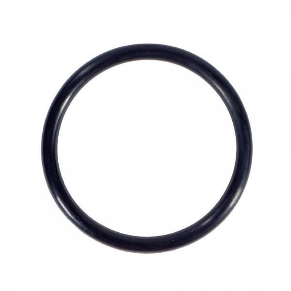O-Ring für Anschlussverschraubung 2" für E-Saver 20/24 Filterpumpe